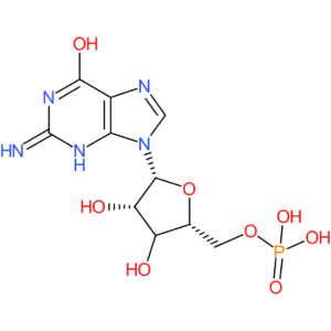 Guanosine 5′-monophosphate, free acid