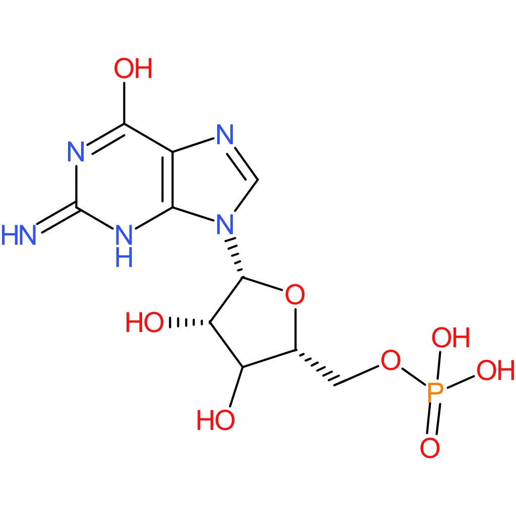 Guanosine 5′-monophosphate, free acid