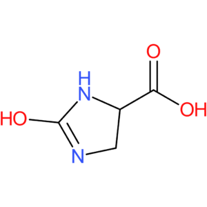 2-Oxoimidazolidine-4-carboxylic Acid