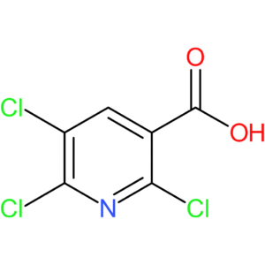 2,5,6-Trichloronicotinic acid