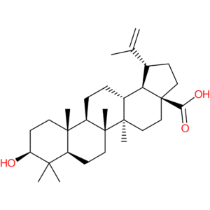 Betulinic acid (>)