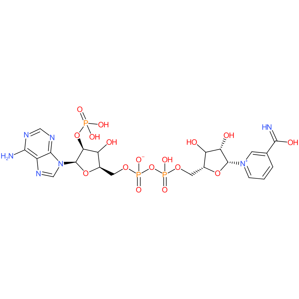 beta-Nicotinamide Adenine Dinucleotide Phosphate [for Biochemical Research]