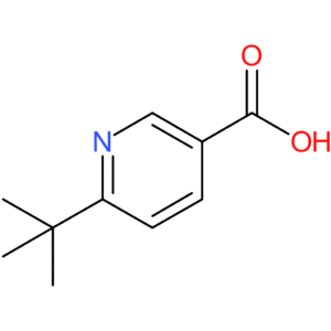 6-tert-Butylnicotinic acid