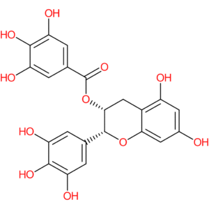 (-)-Epigallocatechin gallate
