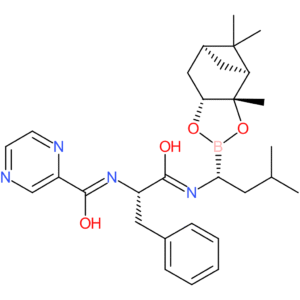 Bortezomib pinanediol