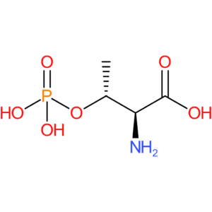 H-Thr(PO3H2)-OH