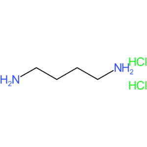 1,4-Diaminobutane Dihydrochloride