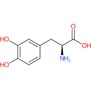 3,4-Dihydroxy-L-phenylalanine