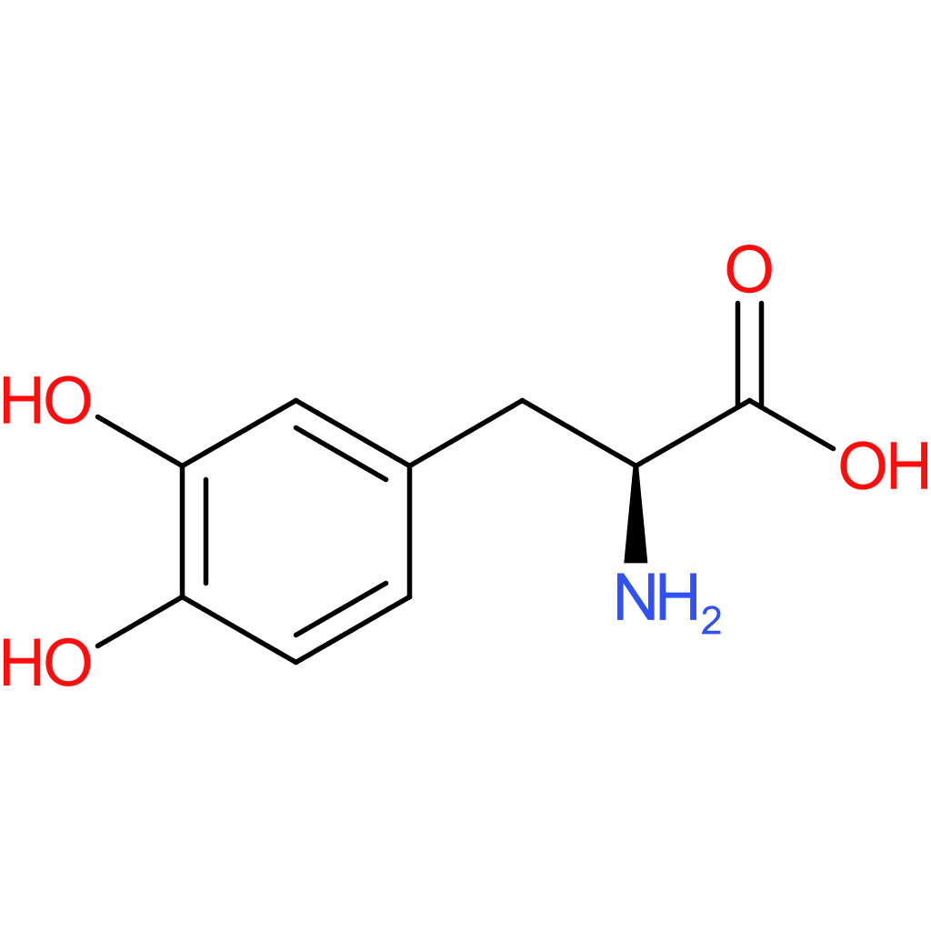3,4-Dihydroxy-L-phenylalanine