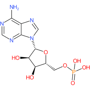 5?-Adenylic Acid