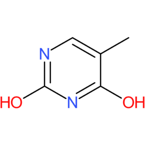 Thymine