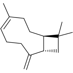 beta-Caryophyllene