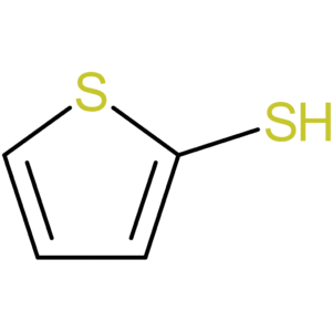 Thiophene-2-thiol
