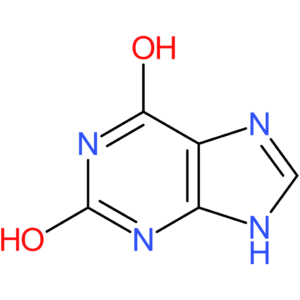 Xanthine