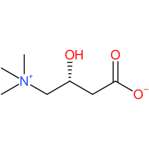 L-Carnitine