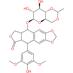 Etoposide
