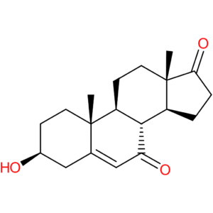 7-Keto-DHEA