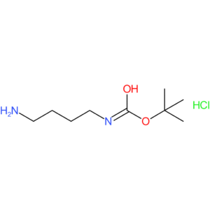 N-Boc-1,4-butanediamine Hydrochloride