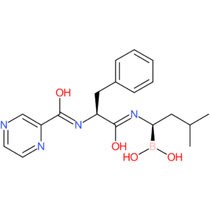 Bortezomib