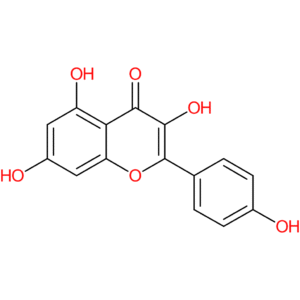 Kaempferol