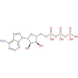 ((2R,3S,4R,5R)-5-(6-Amino-9H-purin-9-yl)-3,4-dihydroxytetrahydrofuran-2-yl)methyl tetrahydrogen triphosphate