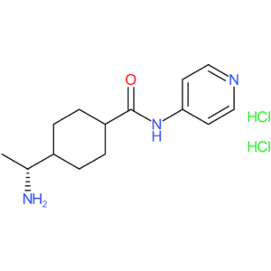 Y-27632 DIHYDROCHLORIDE