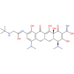 Tigecycline