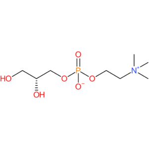 sn-Glycero-3-phosphocholine