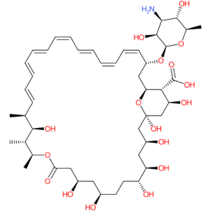 Amphotericin B-750?g/mg