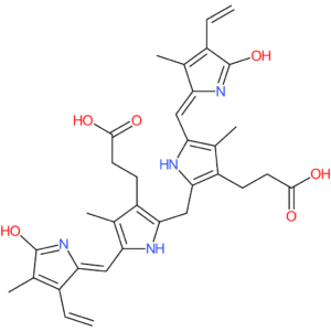 Bilirubin