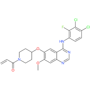 Poziotinib