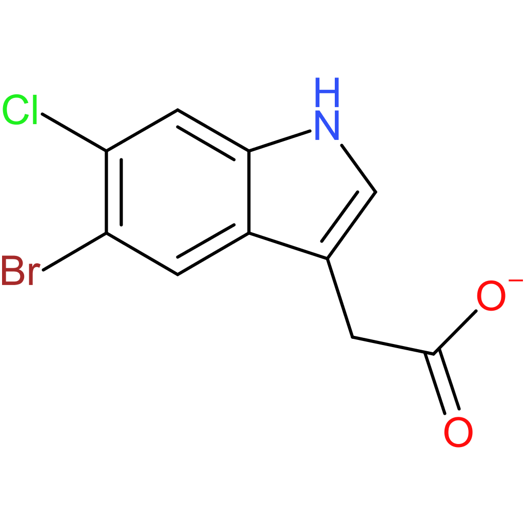 Agarose