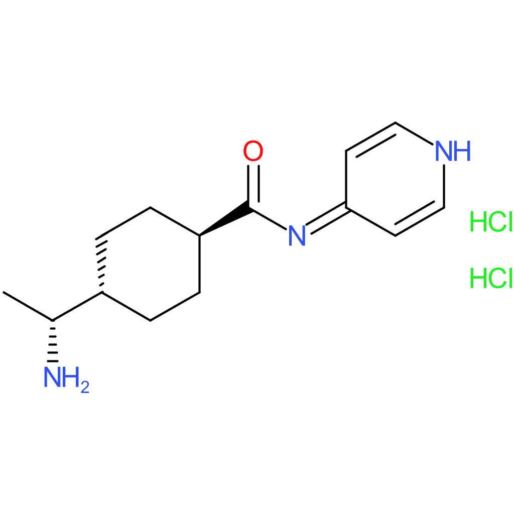 Y-27632 . dihydrochloride