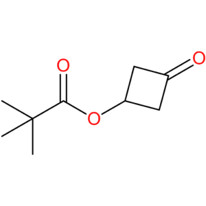3-Oxocyclobutyl pivalate