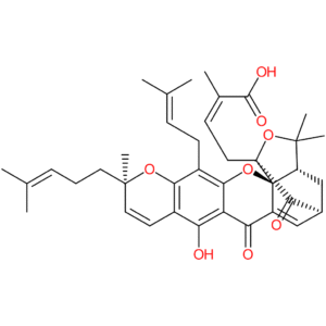 Gambogic acid