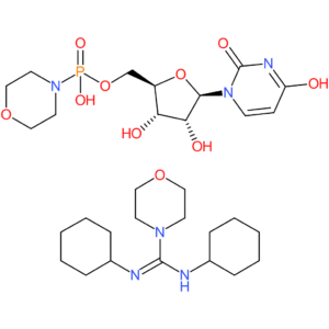Uridine 5-monophosphomorpholidate 4-morpholine-N,N-dicyclohexylcarboxamidine salt