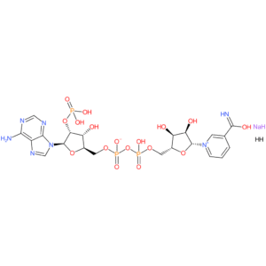 ?-Nicotinamide adenine dinucleotide phosphate sodium salt hydrate