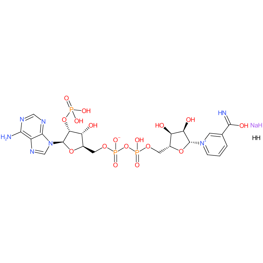 ?-Nicotinamide adenine dinucleotide phosphate sodium salt hydrate