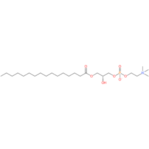 1-Palmitoyl-sn-glycero-3-phosphocholine