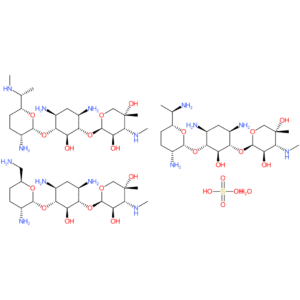 Gentamicin sulfate (USP Grade)