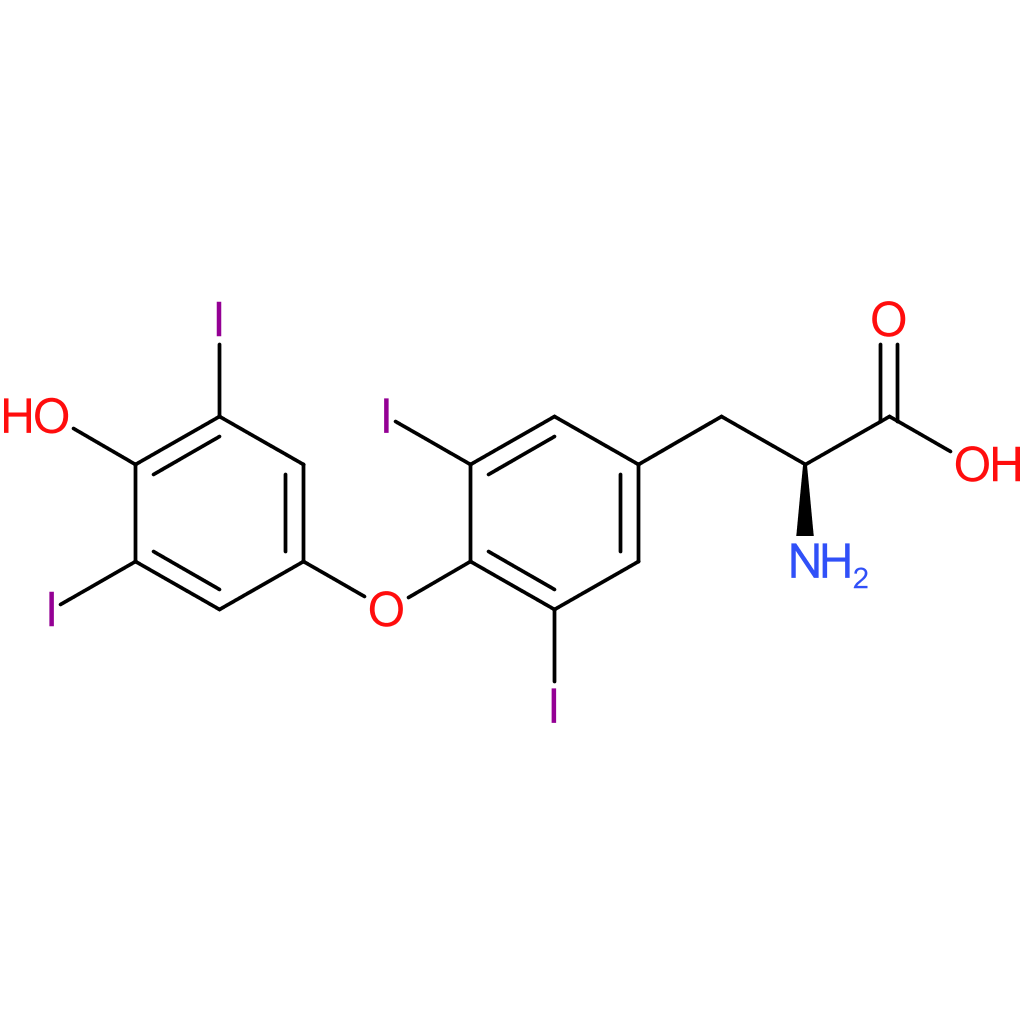 L-Thyroxine