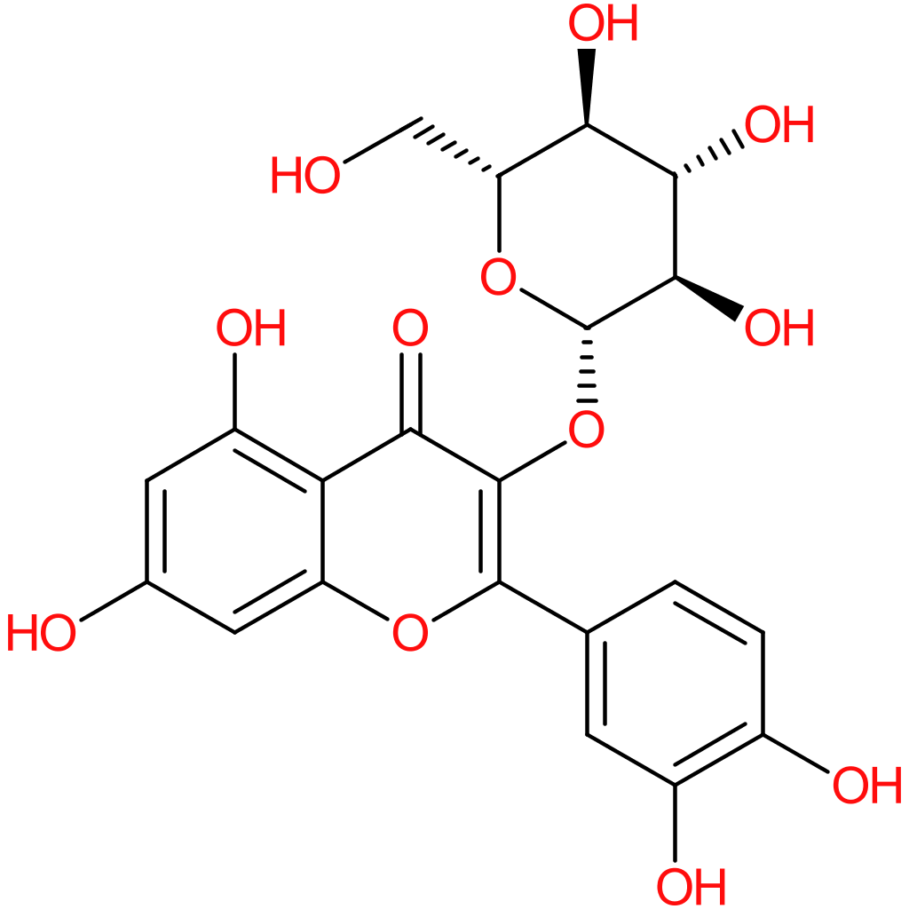 Isoquercitrin