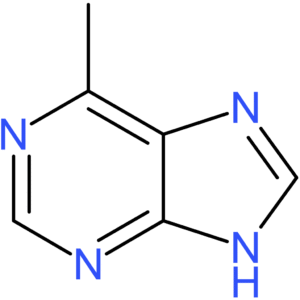 6-Methylpurine