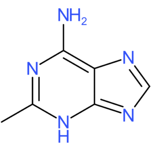2-Methyl-1H-purin-6-amine