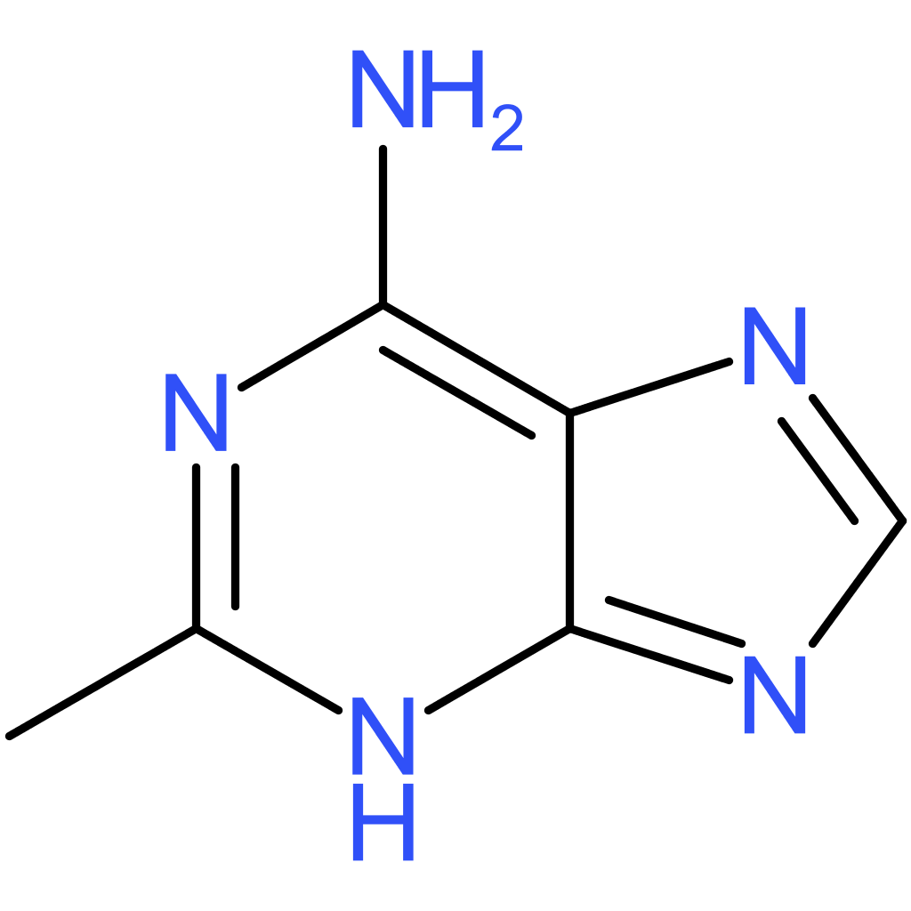 2-Methyl-1H-purin-6-amine