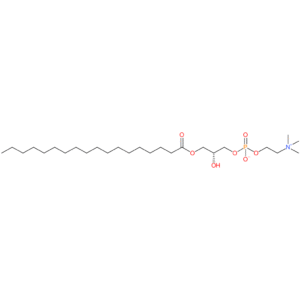Stearoyl Lyso-phosphocholine