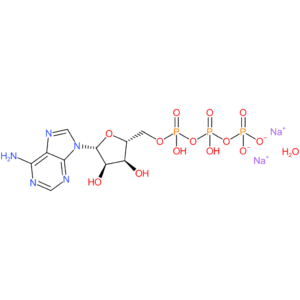 Adenosine-5-triphosphate disodium salt hydrate