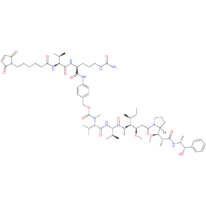 Maleimidocaproyl-valine-citrulline-p-aminobenzyloxycarbonyl monomethylauristatin E