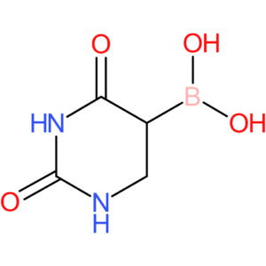 2,4-dioxohexahydropyrimidin-5-ylboronic acid