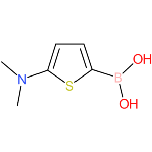 5-(dimethylamino)thiophene-2-boronic acid